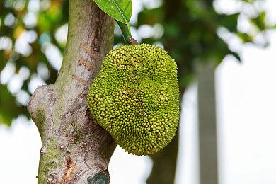 《弃海：波弟大冒险》现已在Steam推出免费试玩